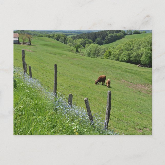 Waldtal, Auvergne Postkarte (Vorderseite)