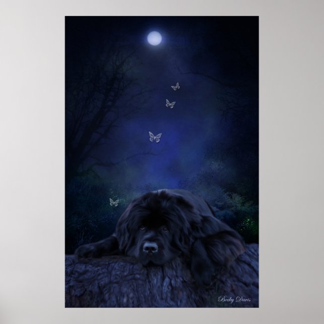 Waldträumer Poster (Vorne)