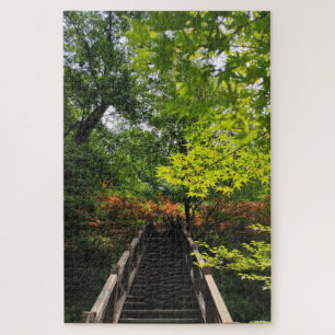 Waldtreppe Natur Herbst