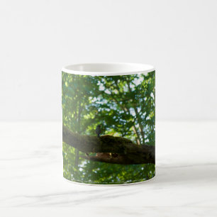 Waldüberpass Kaffeetasse