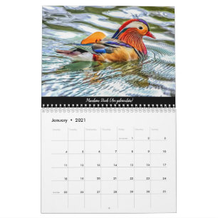 Waldvögel im Dezember 2021 - Kalender