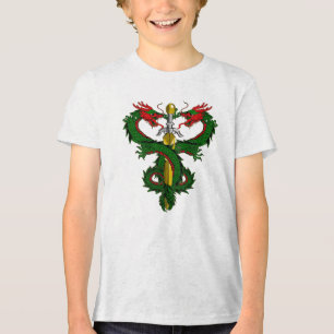 Waldwächter-Drachenschwert Tri-Blend Shirt