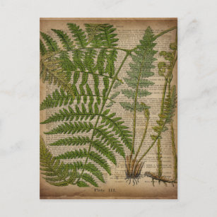 Waldwaldblätter, französischer botanischer Printfa Postkarte
