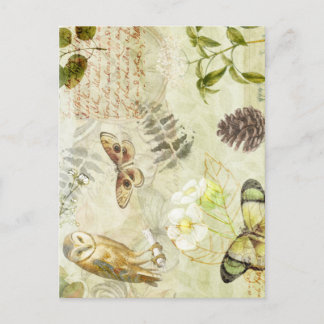 Waldwälder Wildtiere Schmetterling Natur Postkarte