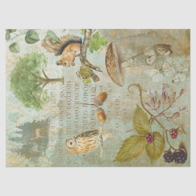 Waldwälder Wildtierquichhörnchen, Owl, Decoupage Seidenpapier (Vorderseite)
