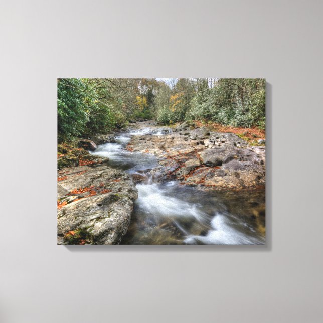 Waldwasserfall Leinwanddruck (Vorderseite)