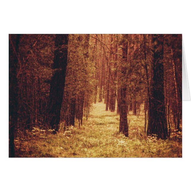 Waldweg... (Vorderseite (Horizontal))