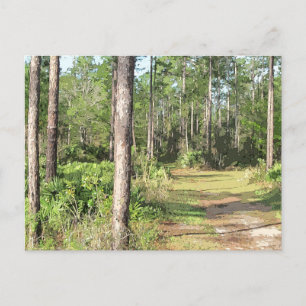 Waldweg 2656 postkarte