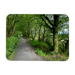 Waldweg auf der Isle of Bute Schottland an einem Magnet