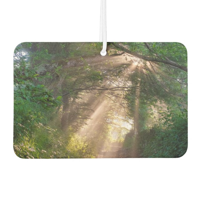 Waldweg Autolufterfrischer (Vorderseite)