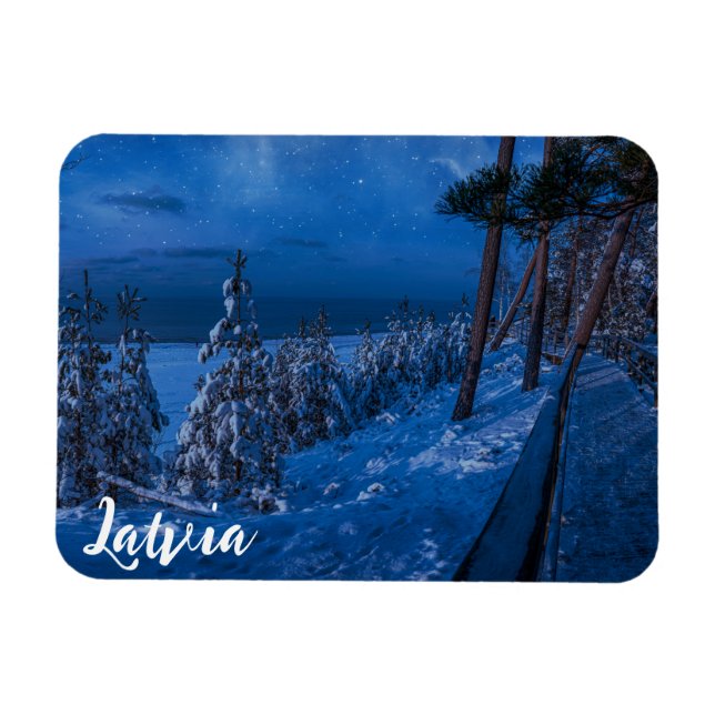 Waldweg bei Winternachtmagnet Magnet (Horizontal)