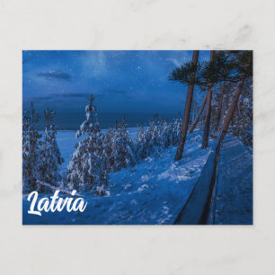 Waldweg bei Winternachtskarte Postkarte