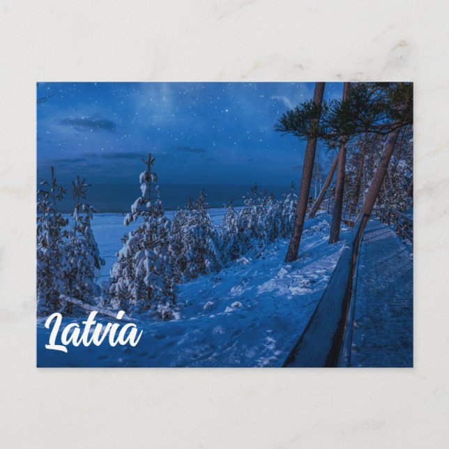 Waldweg bei Winternachtskarte Postkarte (Vorderseite)