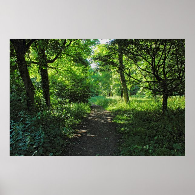 Waldweg. Blackweir Woods, Cardiff, Wales. Poster (Vorne)