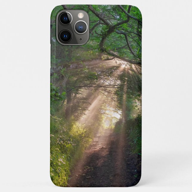 Waldweg Case-Mate iPhone Hülle (Rückseite)