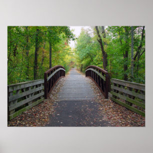 Waldweg-Druck Poster