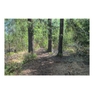 Waldweg Fotodruck