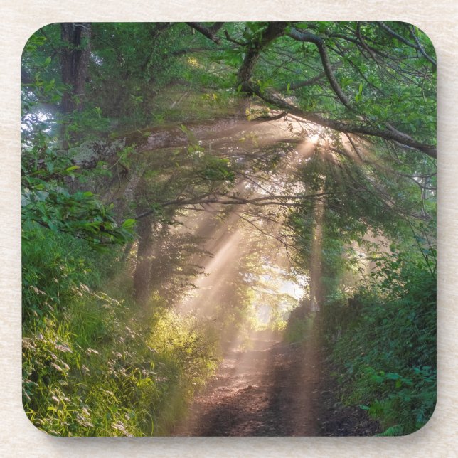 Waldweg Getränkeuntersetzer (Vorderseite)