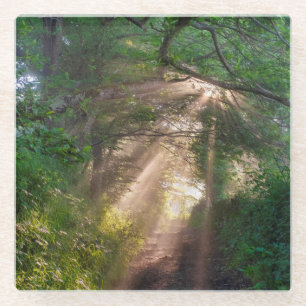 Waldweg Glasuntersetzer