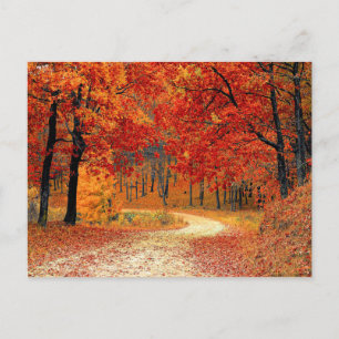 Waldweg, Herbst Postkarte