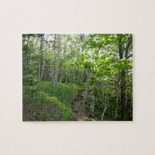 Waldweg im Acadia National Park
