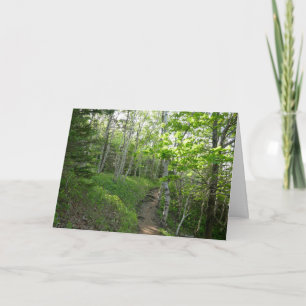 Waldweg im Acadia Nationalpark Karte