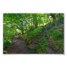 Waldweg im Allan Park Sowerby Bridge