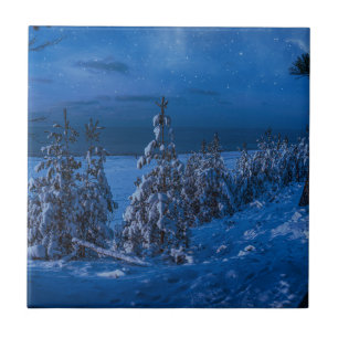 Waldweg in der Winternacht Fliese