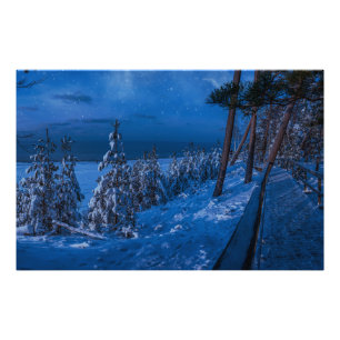 Waldweg in der Winternacht Fotodruck