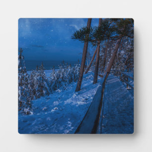 Waldweg in der Winternacht Fotoplatte