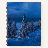 Waldweg in der Winternacht