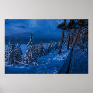 Waldweg in der Winternacht Poster