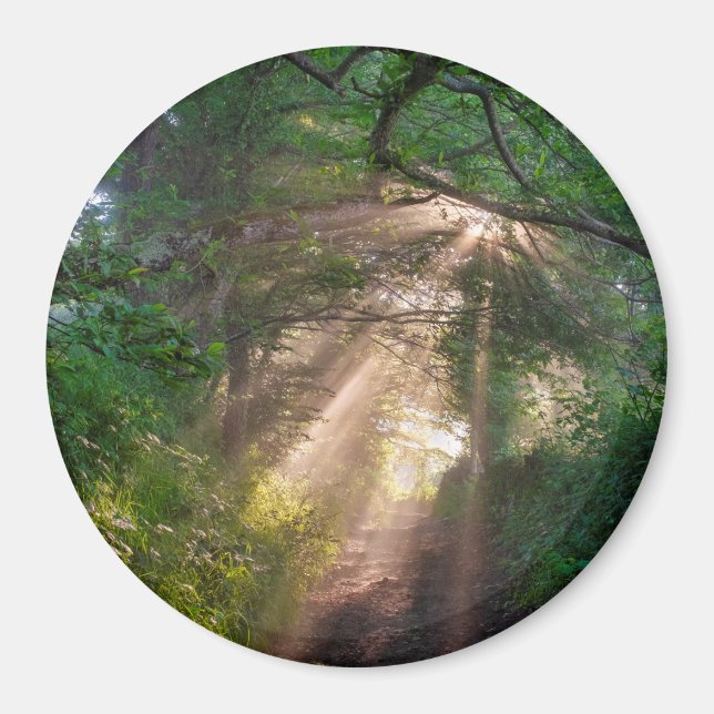Waldweg Magnet (Vorne)