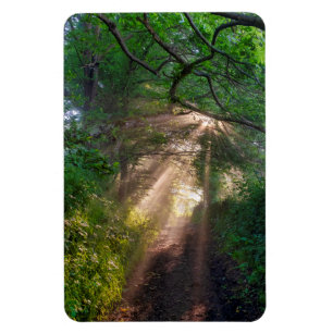Waldweg Magnet