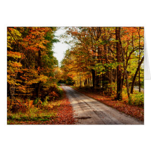 Waldweg mit Laubwaldbewuchs