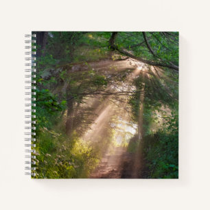 Waldweg Notizbuch