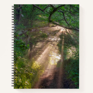 Waldweg Notizbuch