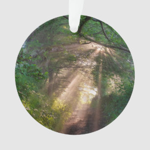 Waldweg Ornament