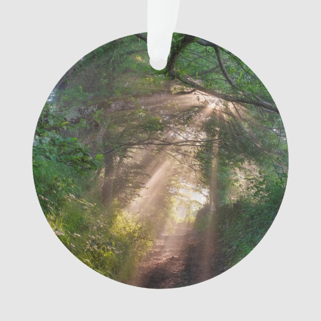 Waldweg Ornament (Vorderseite)