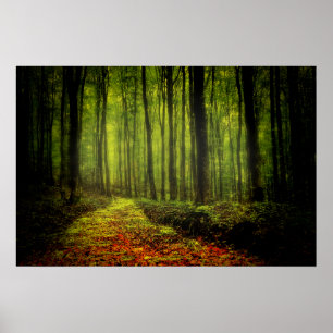 Waldweg Poster