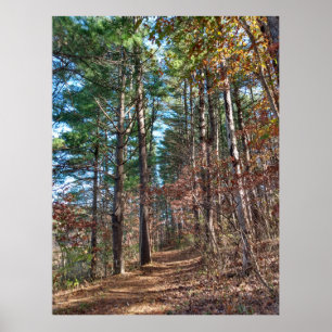 Waldweg Poster