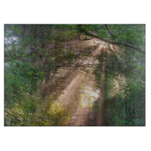 Waldweg Schneidebrett