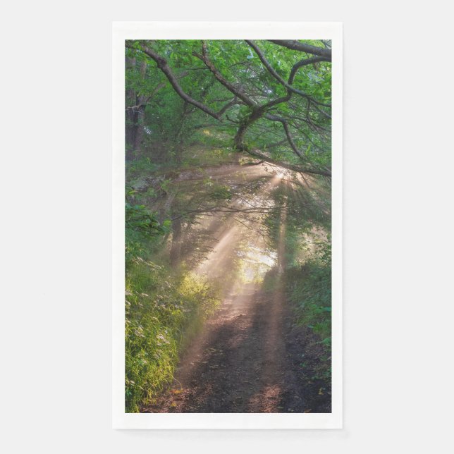Waldweg Serviette (Vorderseite)