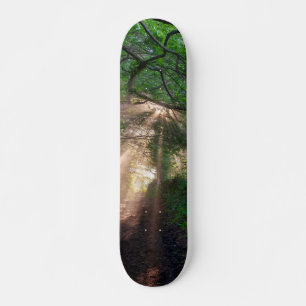 Waldweg Skateboard