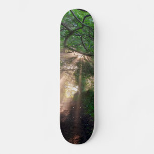 Waldweg Skateboard