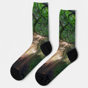 Waldweg Socken