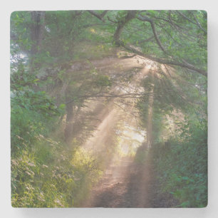 Waldweg Steinuntersetzer