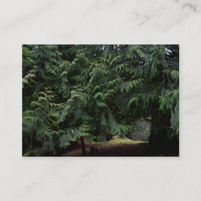 Waldweg Visitenkarte (Vorderseite)