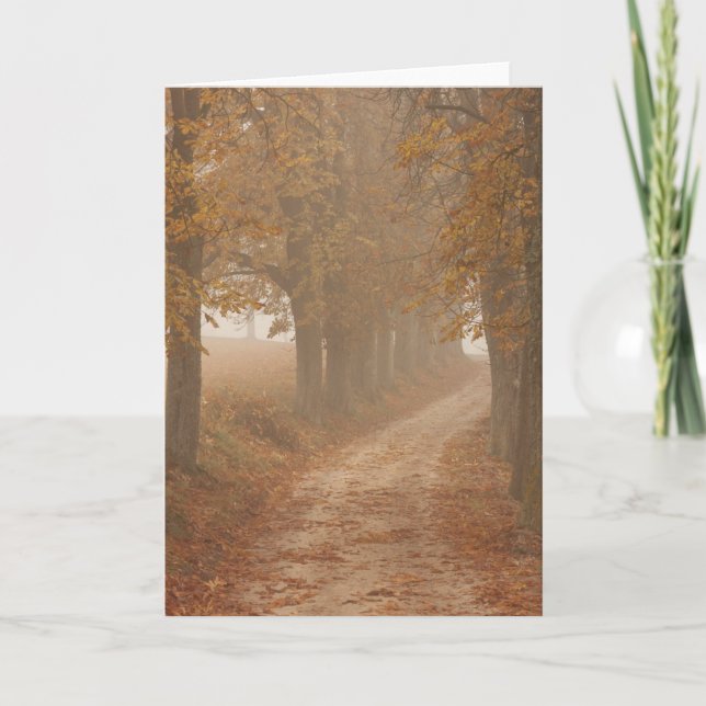 Waldweg vom Foto der Herbstbäume Karte (Vorderseite)