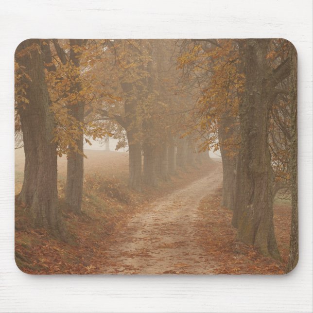 Waldweg vom Foto der Herbstbäume Mousepad (Vorne)